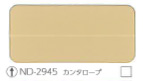 塗ってみたい色②